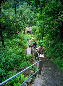 The steep 3000 plus steps that lead one to Nongriat village and the living root bridges of Meghalaya