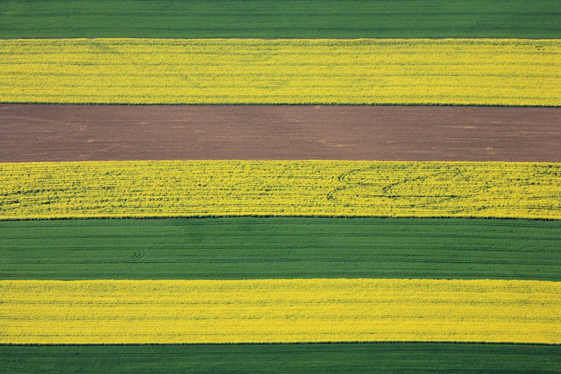 Field stripes