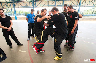 alt="seminario kung fu mostoles"