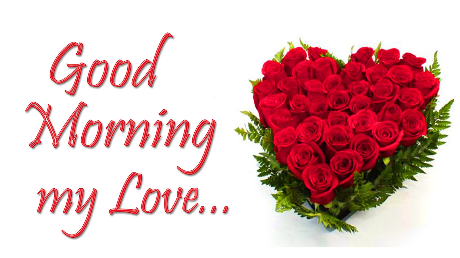 7000 Good Morning Love Images Free Download Now News Update