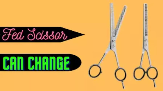 Fed Scissor Can Change
