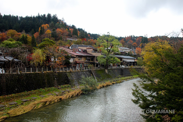 takayama blog