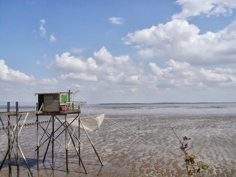 A la pêche aux idées ! L'horizon n'a pas de limites