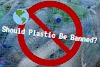 Should Plastic Be Banned? - Essay