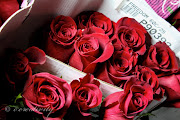 Roses come packed 25 to a bunch. Fena must process more than 40 bunches of . (img )