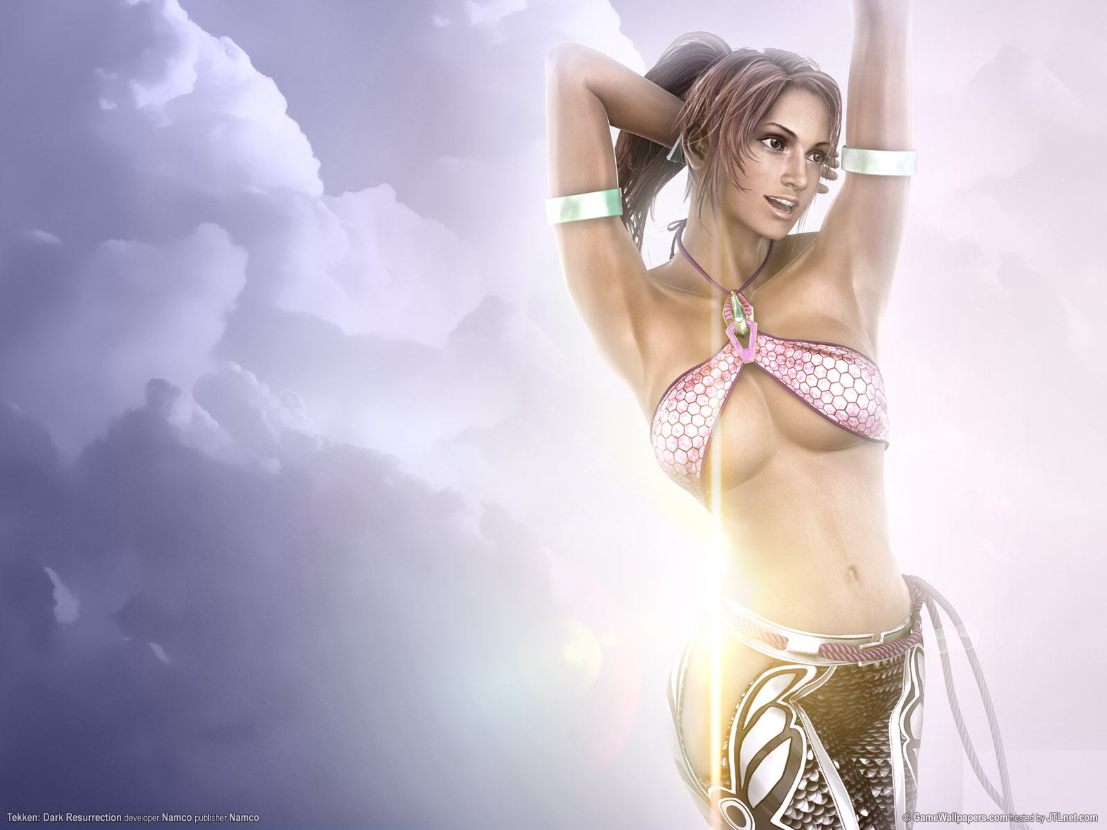 Tekken 5 Girls : Wallpapers Pc