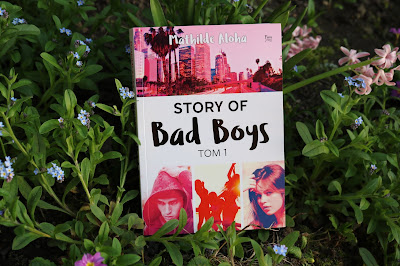 Mathilde Aloha - Story of Bad Boys tom 1