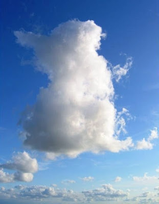 Bunny in clouds