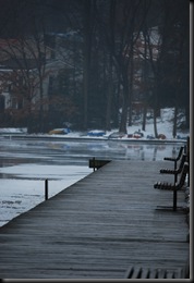 Polarbeardock (1 of 1)
