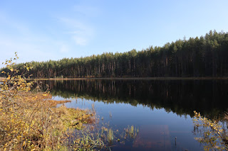 vaade Lahojärvele RMK Laho lõkkekohast