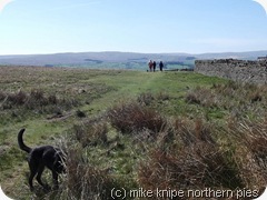 crawleyside edge 1