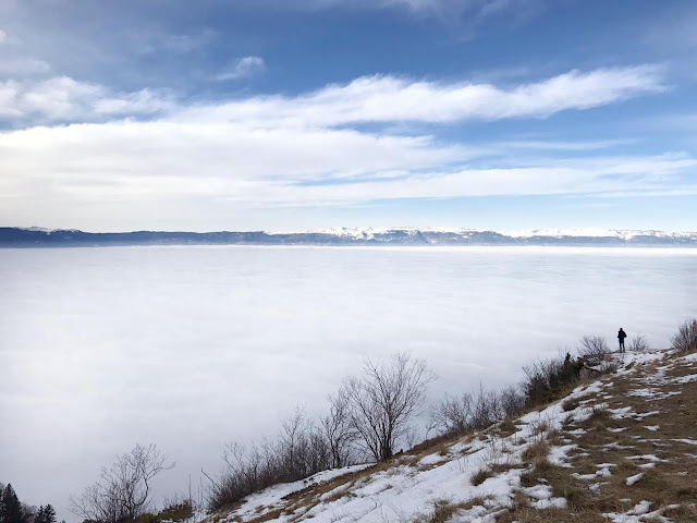 Vue sur le Jura et Genève au Mont Salève