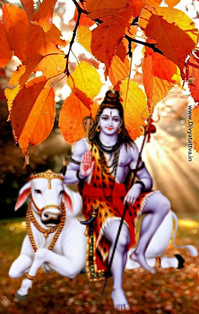 शिवरात्रि FHD Background Images