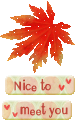 Gif