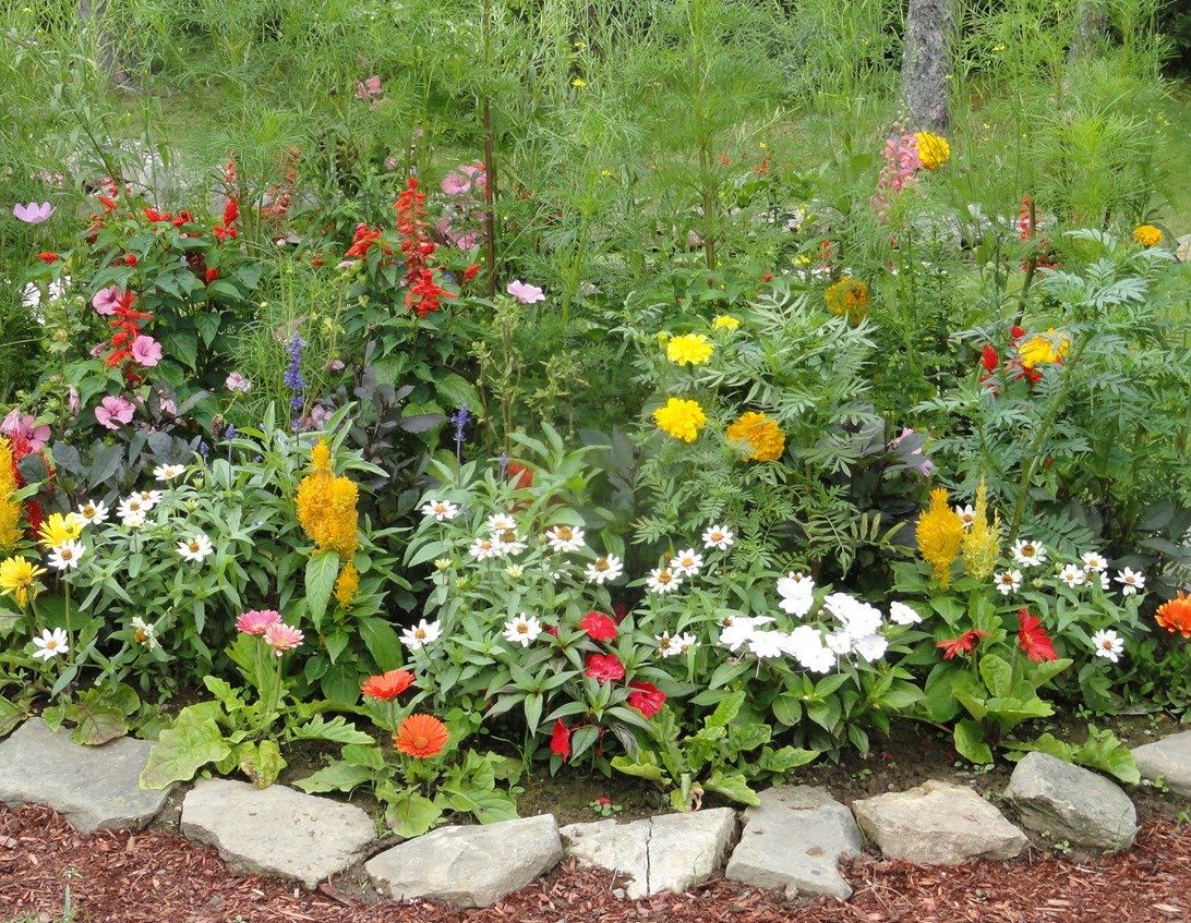 flower pot patio ideas Rustic Flower Garden Ideas | 1092 x 847