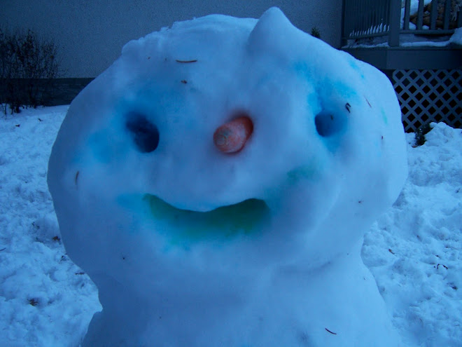 Do you wanna build a snowman?