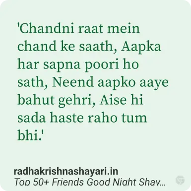 good night shayari friend