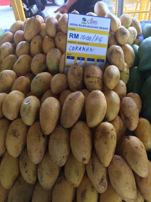 Harga Pasaran Buah Mangga Chokanan