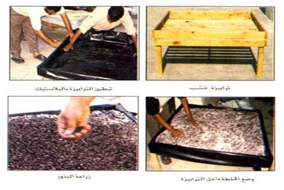 large_1234178748