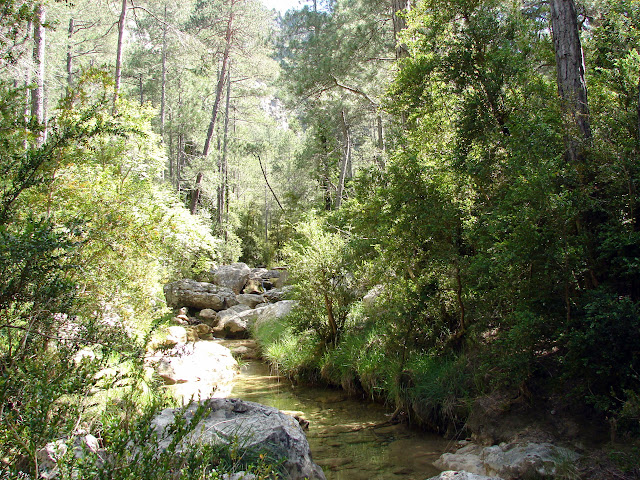 Senderismo - Argaret - Coscollosa - Gubies Capatx - Pas de Romeret - Parrisal