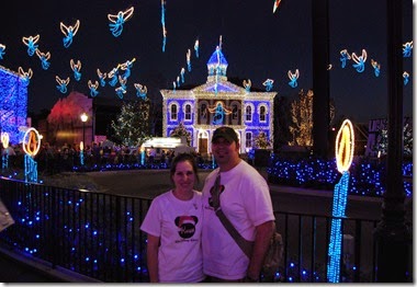 Walt Disney World at Christmas (11)