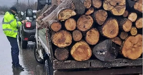 Două transporturi de lemn de foc fără acte depistate în trafic, la Marginea