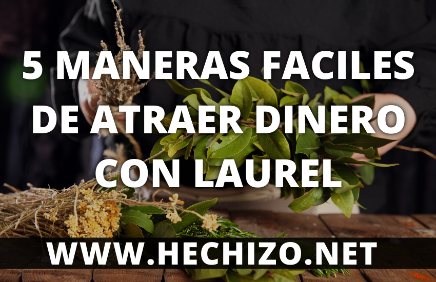 5 Maneras de Atraer Dinero con Laurel