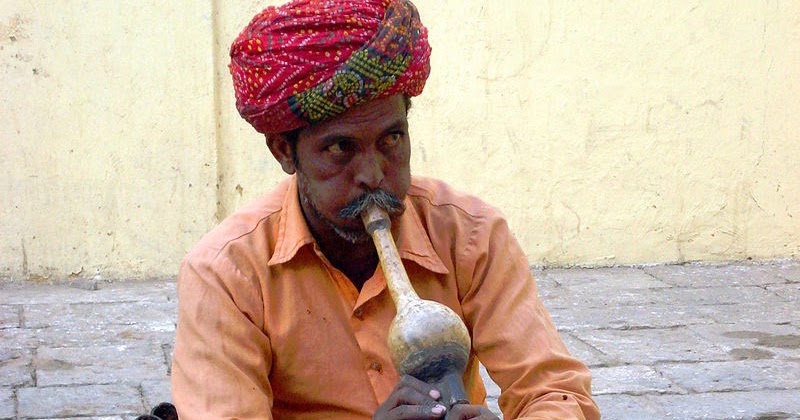 Maqsood Qureshi's Blog Indian Snake Charmers / Con Artists versus