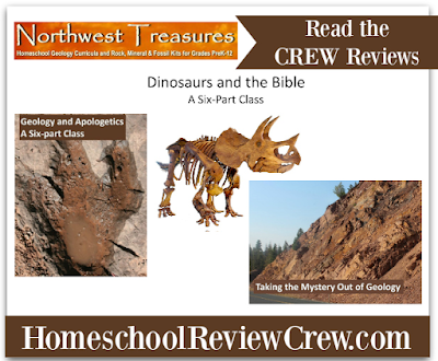 http://schoolhousereviewcrew.com/online-geology-classesnorthwest-treasures-reviews/