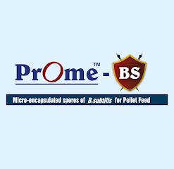 PROME - BS Probiotic