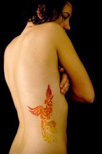 Beautiful Phoenix