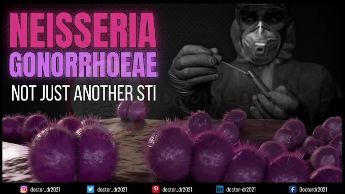 Neisseria gonorrhoeae Explained: Pathogenesis, Diagnosis & Prevention