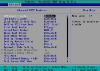 setting bios