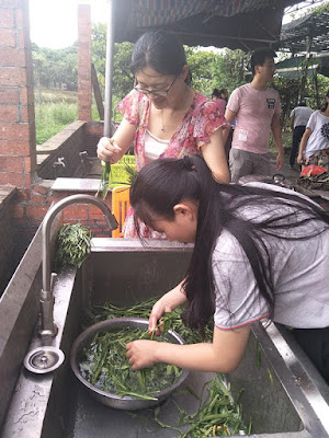 Washing vegetables