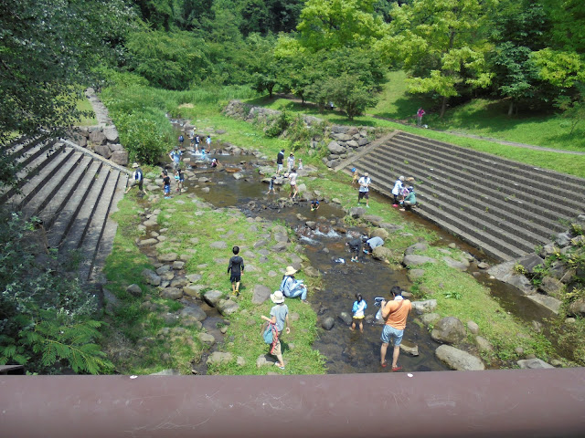 別所川渓流植物園はおおわらわ