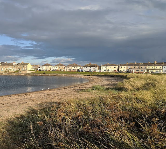 30 Things to Do in Amble  - Little Shore Beach