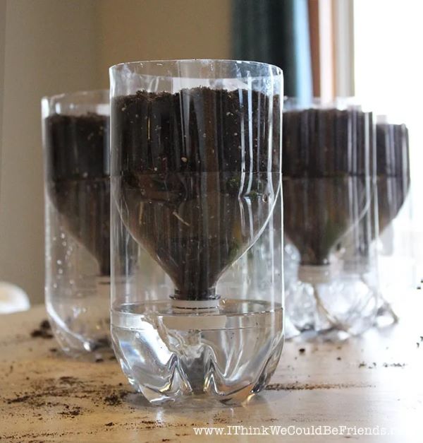 Self-Watering herb planters made from recycled 2 liter bottles from I Think We Could Be Friends