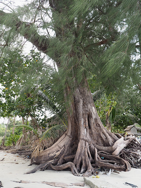 Таиланд, остров Чанг, пляж Клонг Прао (Thailand, Koh Chang, Klong Prao Beach)