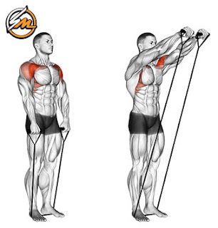 Full Body Workout With Resistance Bands