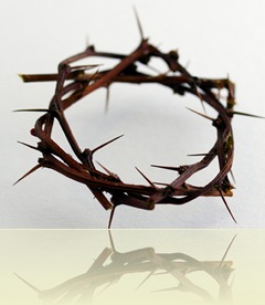 Crown of Thorns by SCapture