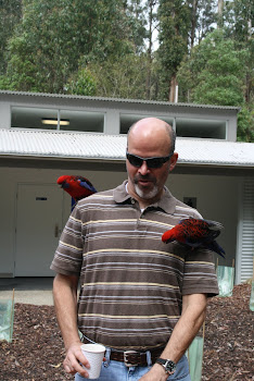and these birds loved billy
