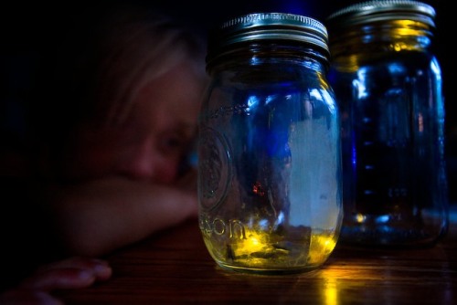 Fireflies In A Jar At Night. firefly night