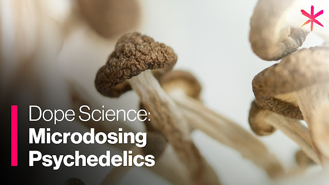 Microdosing Mushrooms