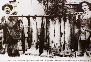 Fishing in Iceland