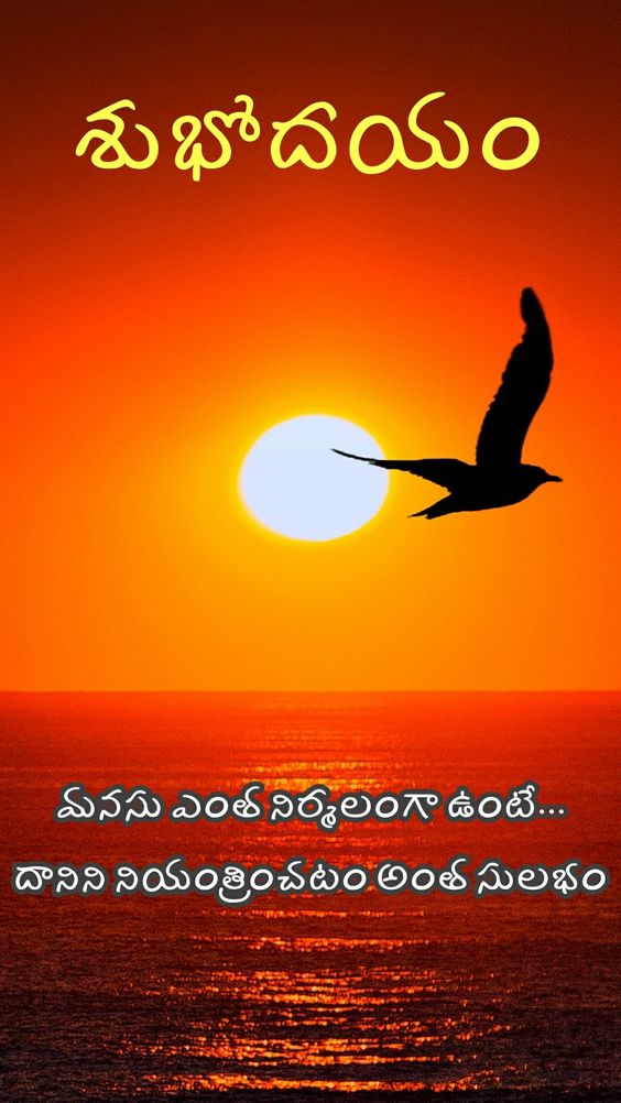  Good  Morning  Quotes  in Telugu  With Images