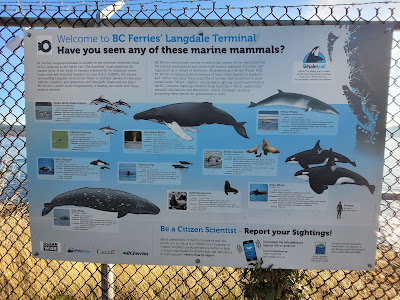 Whale Citizen Science Trans Canada Trail BC.