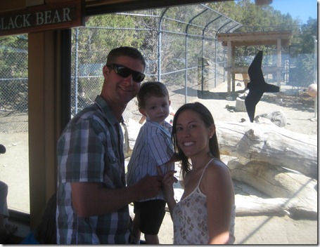 07 29 12 - Animal Ark (9)