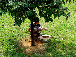 HamsterVille CemeTree Wednesday Helped To Dig Too