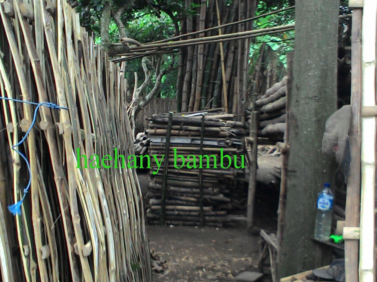 haehany jualan jual  bambu  sidoarjo