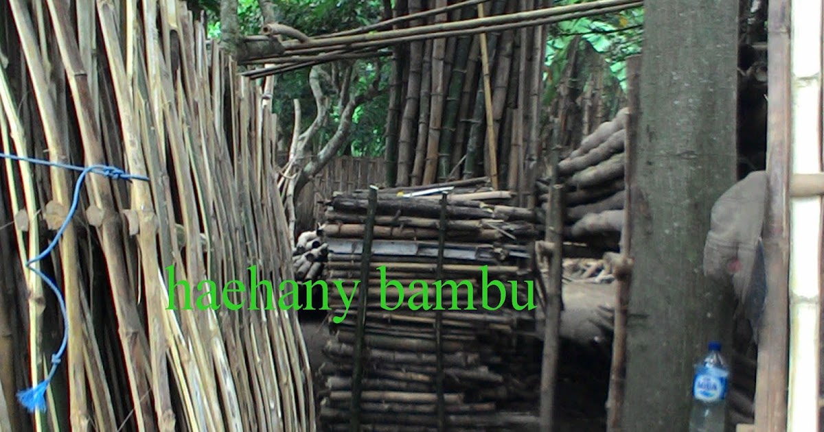 haehany jualan jual bambu  surabaya